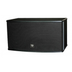 唐龍太極 T.D TAICHEE 純K 10寸音響