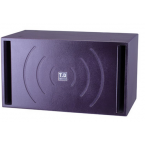 唐龍太極 T.D TAICHEE TMS-10W 10寸音響