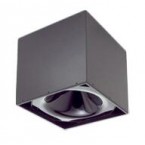 RENKUS-HEINZ CS66 專業音響